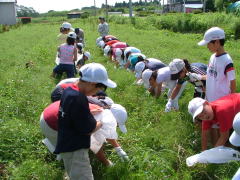 �N���b�N����Ɠ��L�̃y�[�W�փW�����v���܂�